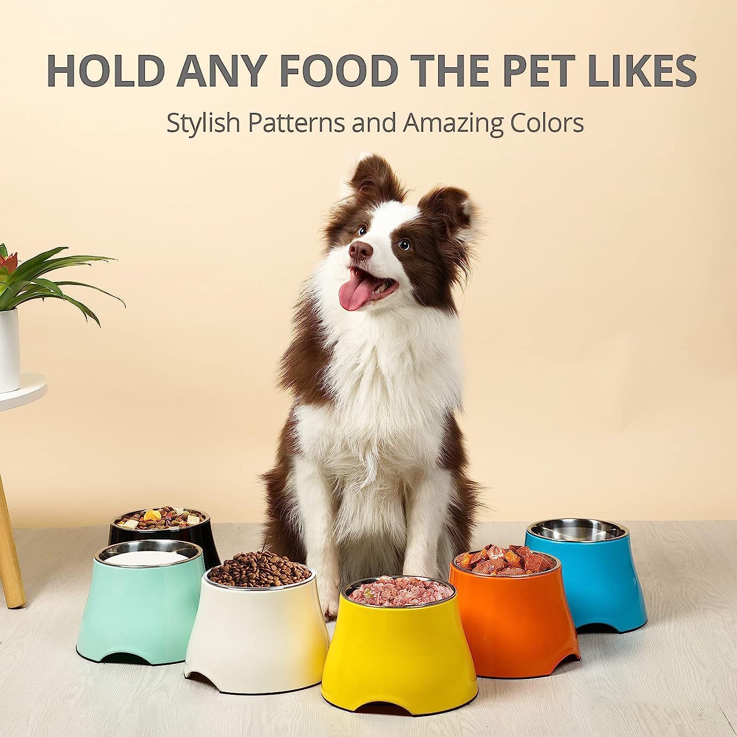 Pet Bowl Image 4