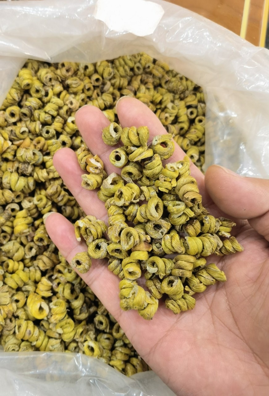 Tie Pi Shi Hu Feng Dou Dried Dendrobium Officinale Stems Huoshan Style Traditional Processing for Cooking and Herbal Soup overview