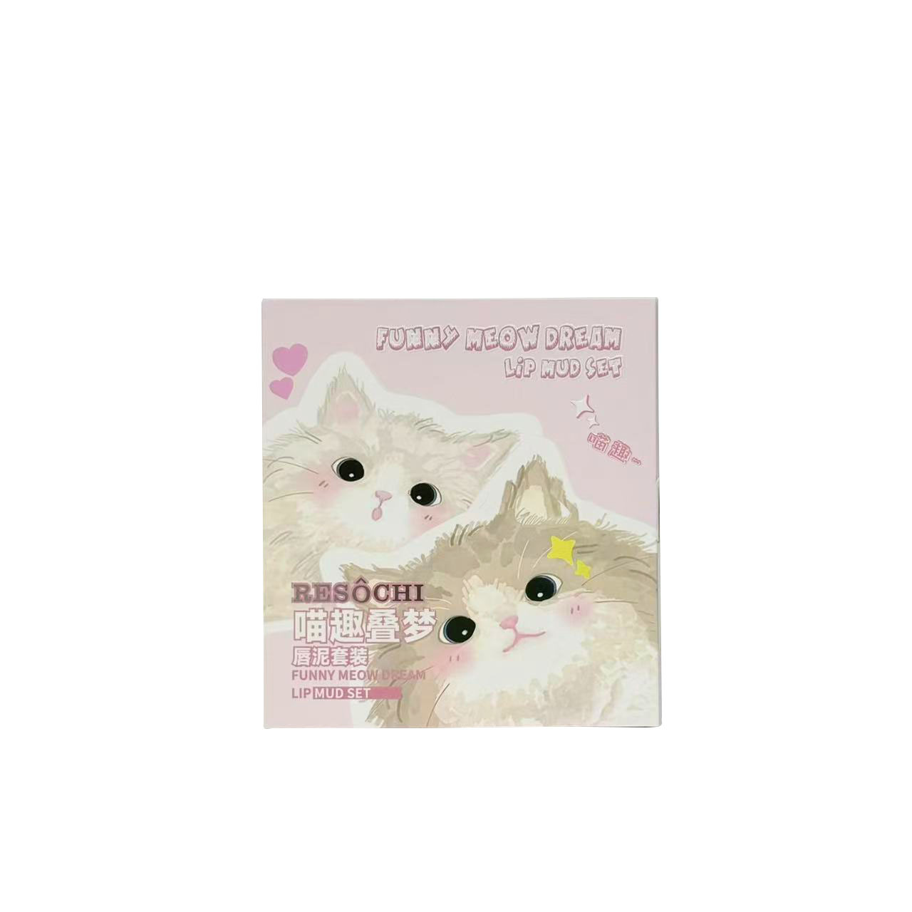 RESOCHI Miao Fancy Dream Lip Cover Box no es fácil de tocar tazas mate niebla superficie color claro transfronterizo barato lápiz labial