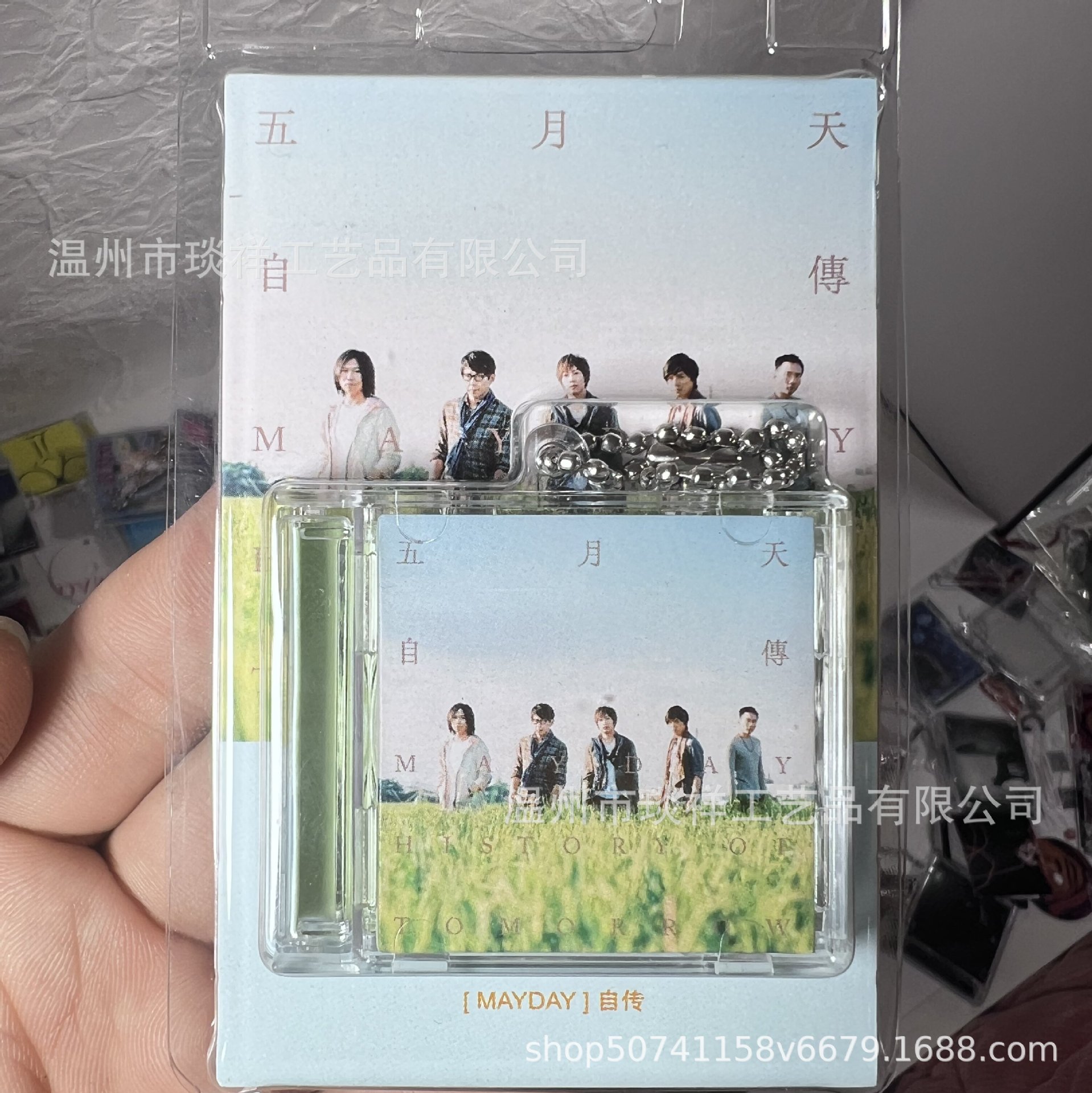 물집 포장 상자