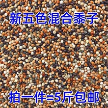 五色混合黍子虎皮牡丹玄凤中小型鹦鹉混合营养粮鸟食饲料谷子包邮