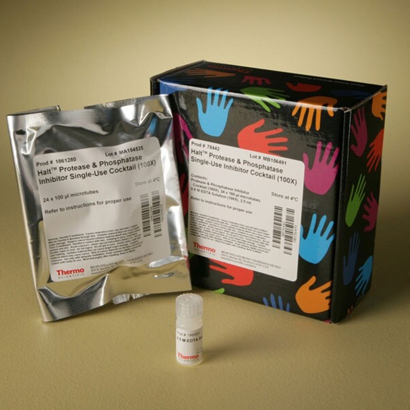 78442/78446/78440/78444赛默飞Halt蛋白酶和磷酸酶抑制剂混合物