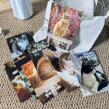 һֻ�����؈30���ɐ�؈�������b�Ƭ�����������b�Ƭ����