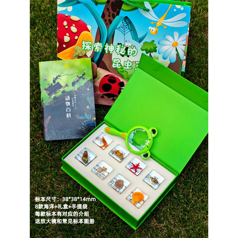 오션 8 랜덤 + 박스 + 선물가방 추천 모델