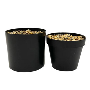 Simulation of green plant special plastic foam plus small stone large thread straight tube International basin flower arrangement