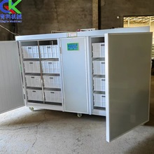 全自动商用豆芽机  豆芽摊贩批量生产设备 农贸市场芽苗育苗机