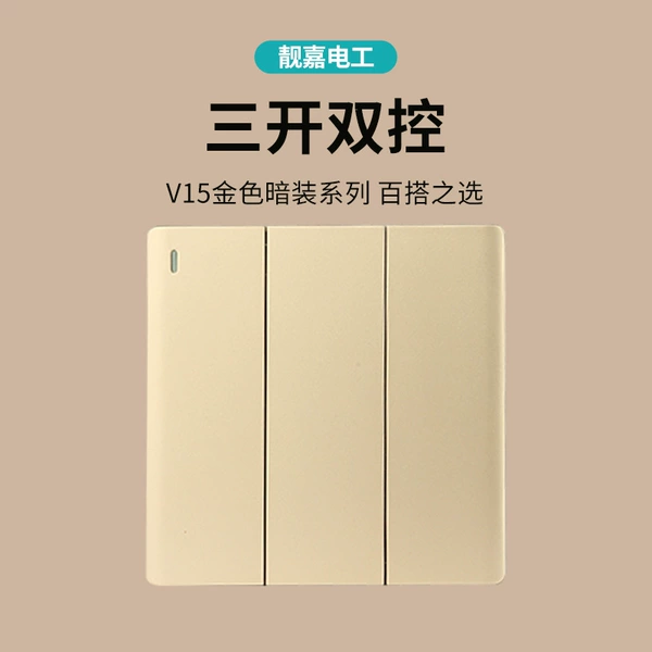 V15 Sankai dual control switch