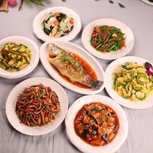 热菜模型模具菜单菜品展示菜雏菊道具炒菜饭店预制立体美食其他