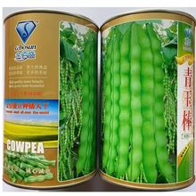 ܿNӸ߮aļ˶ϾඹܶNѴ＾߲