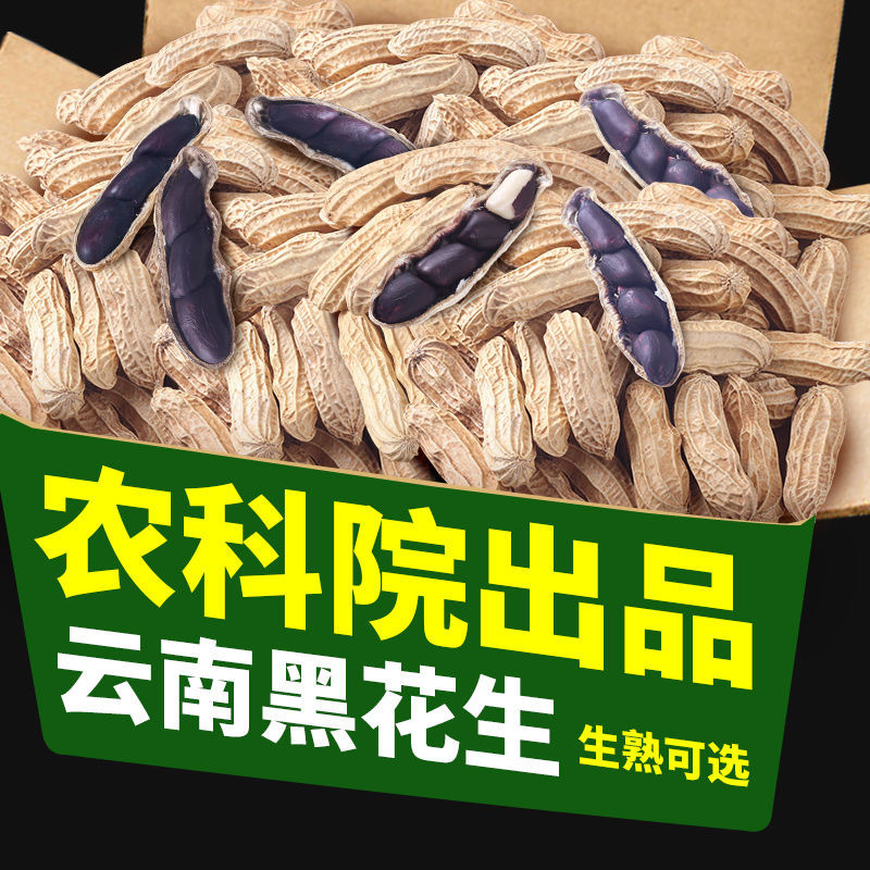 New Peanuts Yunnan Specialty Dry Goods Gourmet Black Peanuts Black Skin Peanuts with Shells 200g