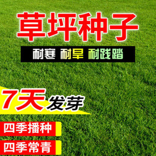 ��ƺ�N�Ӳ����ļ�����G���o�¹�������Ľ�����é�����ݲ�Ƥ�N��