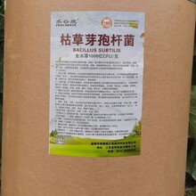 �ݲ�ѿ�ߗU�������r���Ϲ��߲˹�����θ��������ݲ�����������