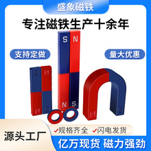 工厂批发学生教学实验磁铁方形强力磁铁定制红蓝喷器磁条吸铁石