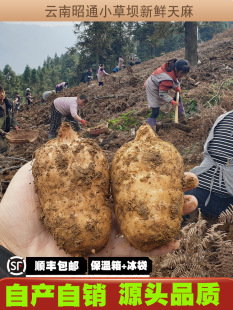 ���u���r����1000g2����ͨС�݉Ξ�������Ϸ�Ұ��500g1��Ǹ�؛