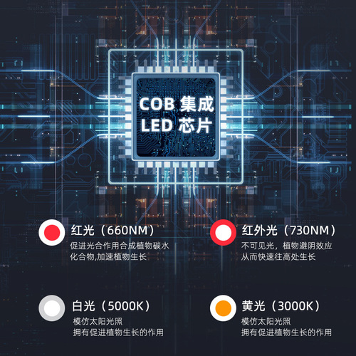 LED plant growth light, green wall plant supplement light, gardening flower shop, succulent, full spectrum rail track light