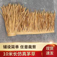 �����޷¹�����ٵ����b�ͥԺ����Sɫ����ë�ݛ�ͤ��ʽé������