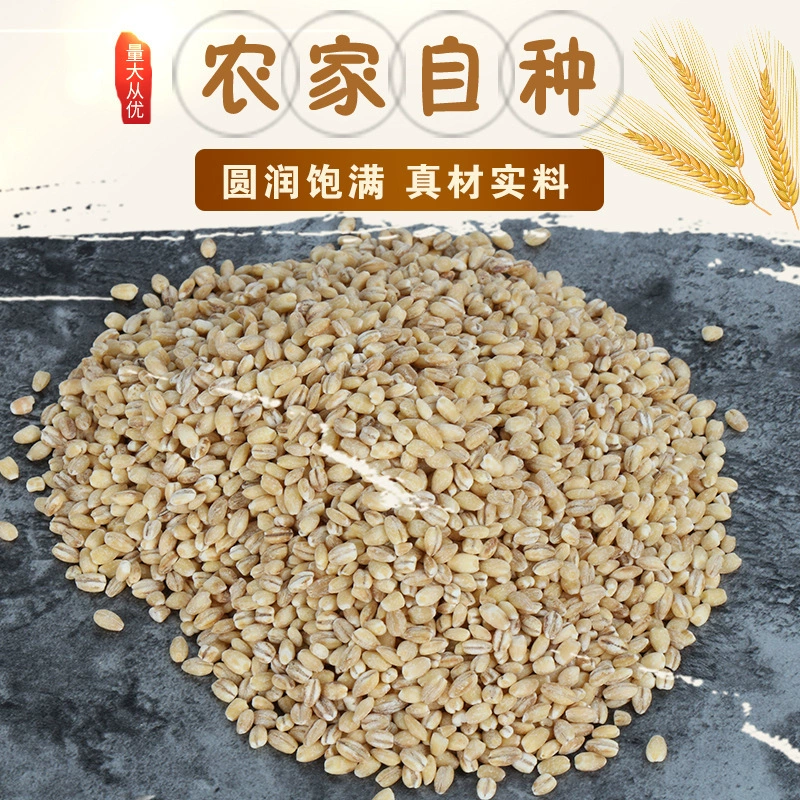 Низкотемпературная выпечка, приготовленные ядра ячменя, свежемолотое соевое молоко