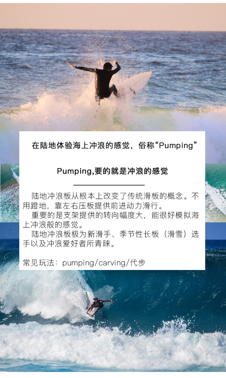 冲浪鱼板详情S9_02