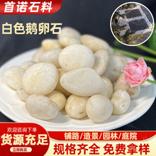 ?ɫZʯSҹ·@־^ͥԺbԻ@쾰ϴСʯ