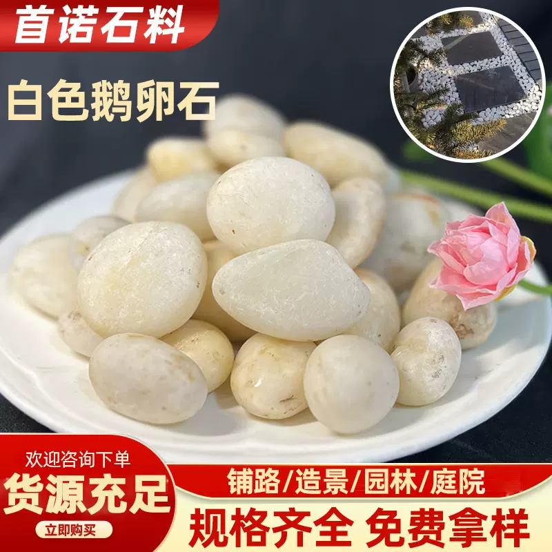 白色鹅卵石厂家工程铺路园林景观庭院装饰盆栽花园造景酸洗小石头