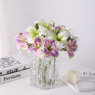 ���滨����� �ٺϻ� ���W������c�[���Ҿӿ͏dܛ�b��̼ٻ�