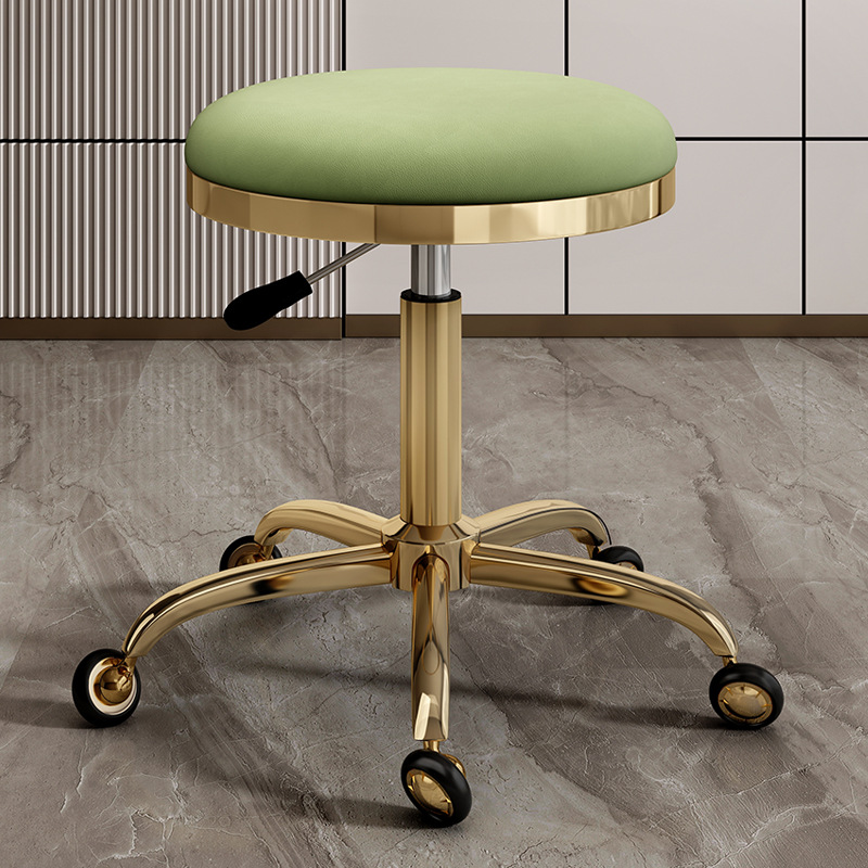 silla de dentista de estética elevadora polea de manicura silla giratoria silla de computadora silla de laboratorio maestro taburete