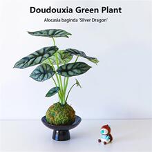 ��Ϭţ����̦�\��ins�L�������Կ͏d�ļ����B�����՚���˾Gֲ