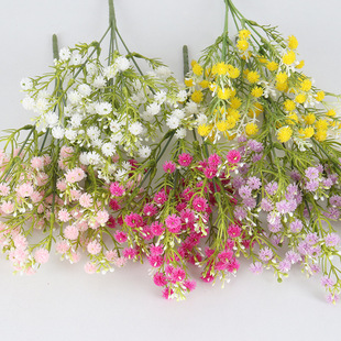 ����ܛ�z�M���ǻ�c�bҾ��b�������������С���S�����l����