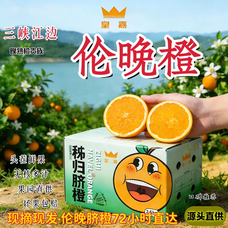 Hubei Ziguilun Late-Season Navel Oranges, Direct from the Farm, Freshly Picked, High Sweetness, Juicy, Wholesale, One-Piece Drop Shipping, Damaged Fruit Compensation Included