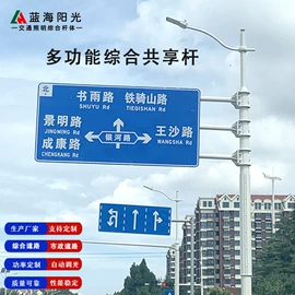 道路照明灯;路灯;景观灯