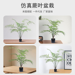北欧風シミュレーション緑植シダの葉盆栽置物室内客間着地装飾シダ類偽植物盆栽造景