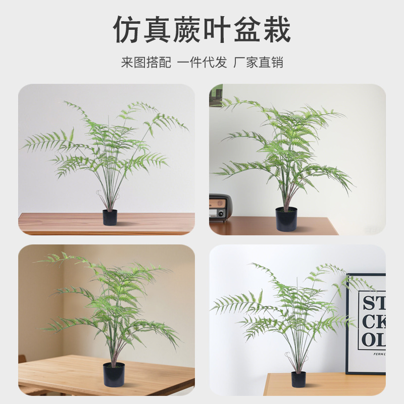 北欧風シミュレーション緑植シダの葉盆栽置物室内客間着地装飾シダ類偽植物盆栽造景|undefined