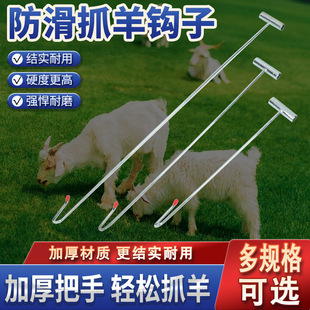 Special Hook for Catching Sheep, Steel Bar for Catching Sheep, Sheep Leg Catching Tool, Sheep Catching Tool, Sheep Supplies
