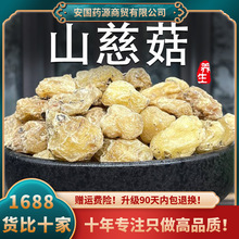 ɽ�ȹ���ș�����rɽ�ȹ�ɽ�Ĺ�ë�ȹ��ȹ÷�Ұ��ɽ�Ĺ��ɴ�۸�؛