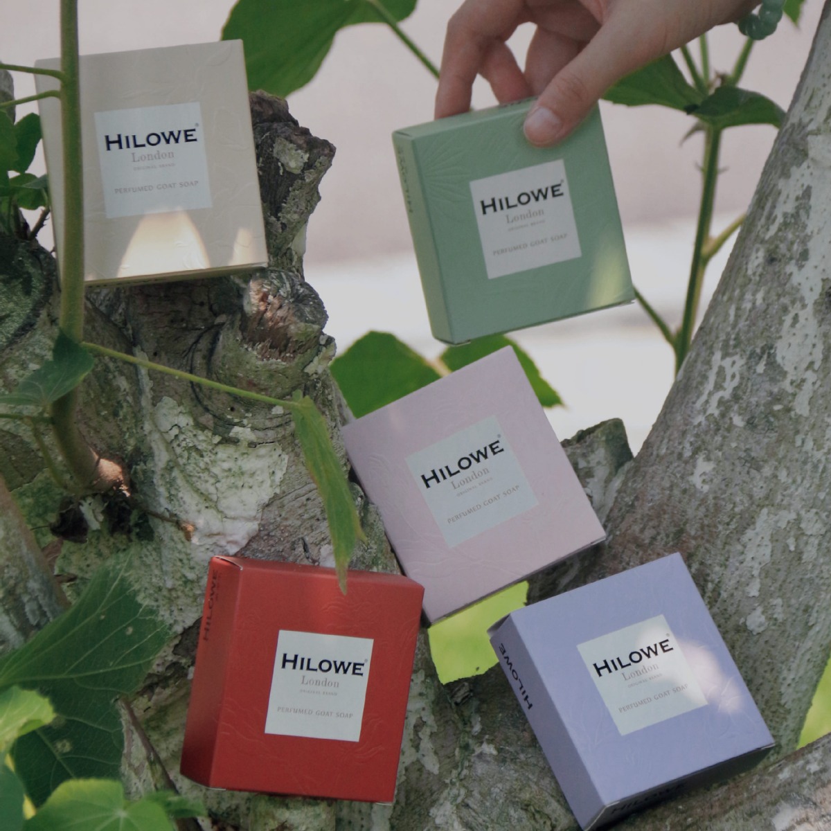 Hilowe Hirowe New Adventure Garden Soap Handmade Soap Authorized