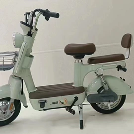 电动自行车;电动车配件;自行车装饰