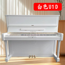 �ձ��Ŭ�����ٌ��I88�I��������߶���ٿ������Ҏ���Rȫ