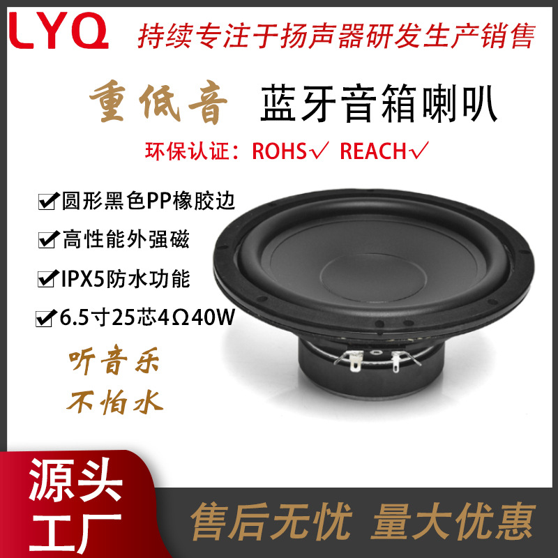 Altavoz magnético exterior de 25 núcleos de 6,5 pulgadas PP negro + borde de Goma 4 Omega 40w