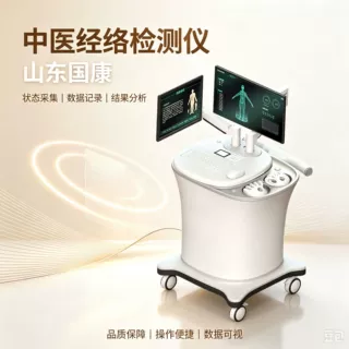 国康ai中医经络体质检测仪经络图谱可视化展示