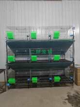 ��λ�N�ß���\�z�|�û\ �����T�����Bֳ��9�\λ��Ʒ�N�û\