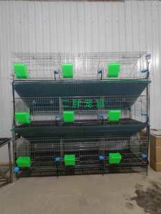 ��λ�N�ß���\�z�|�û\ �����T�����Bֳ��9�\λ��Ʒ�N�û\