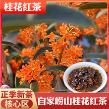 崂山红茶2024新茶崂山桂花红茶野生桂花手工自家浓香礼品散装500g
