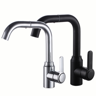 Internet Celebrity Universal Bathroom Stainless Steel Washbasin Faucet Bathroom Black Washbasin Hot and Cold Basin Faucet