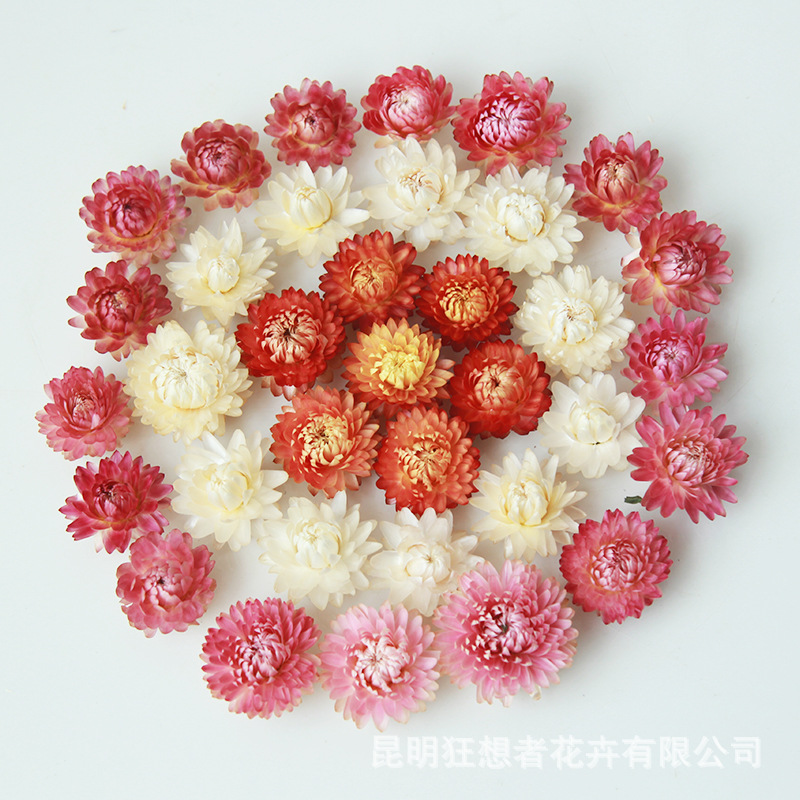 狂想者基地批發香薰蠟燭幹花diy材料包挑選迷妳精品麥稈菊花頭