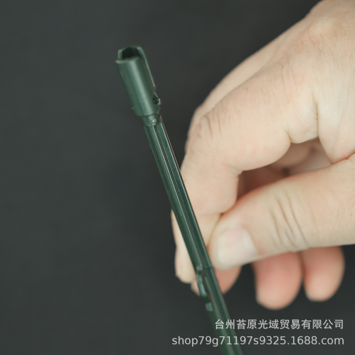 蘑菇一1.JPG.jpg