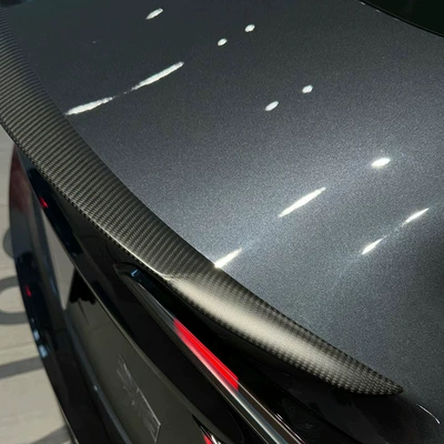 Fixed wind wing: carbon tail Highland3 real