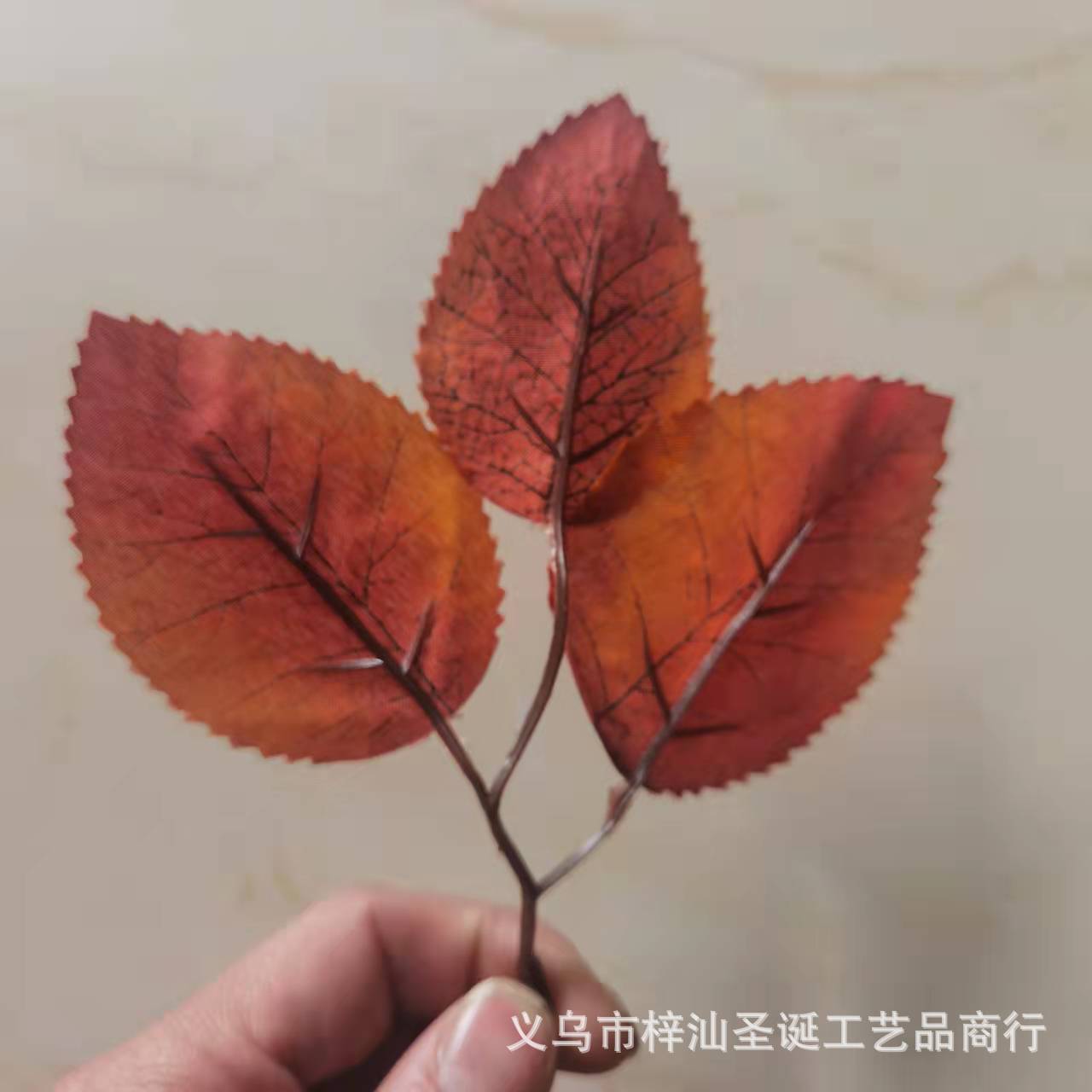 图片_20211120145604