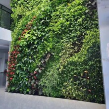 ֲ���ֱ�G���Nֲ�ۻ���������w�@�־Gֲ�����̱ڒ�����Nֲ��