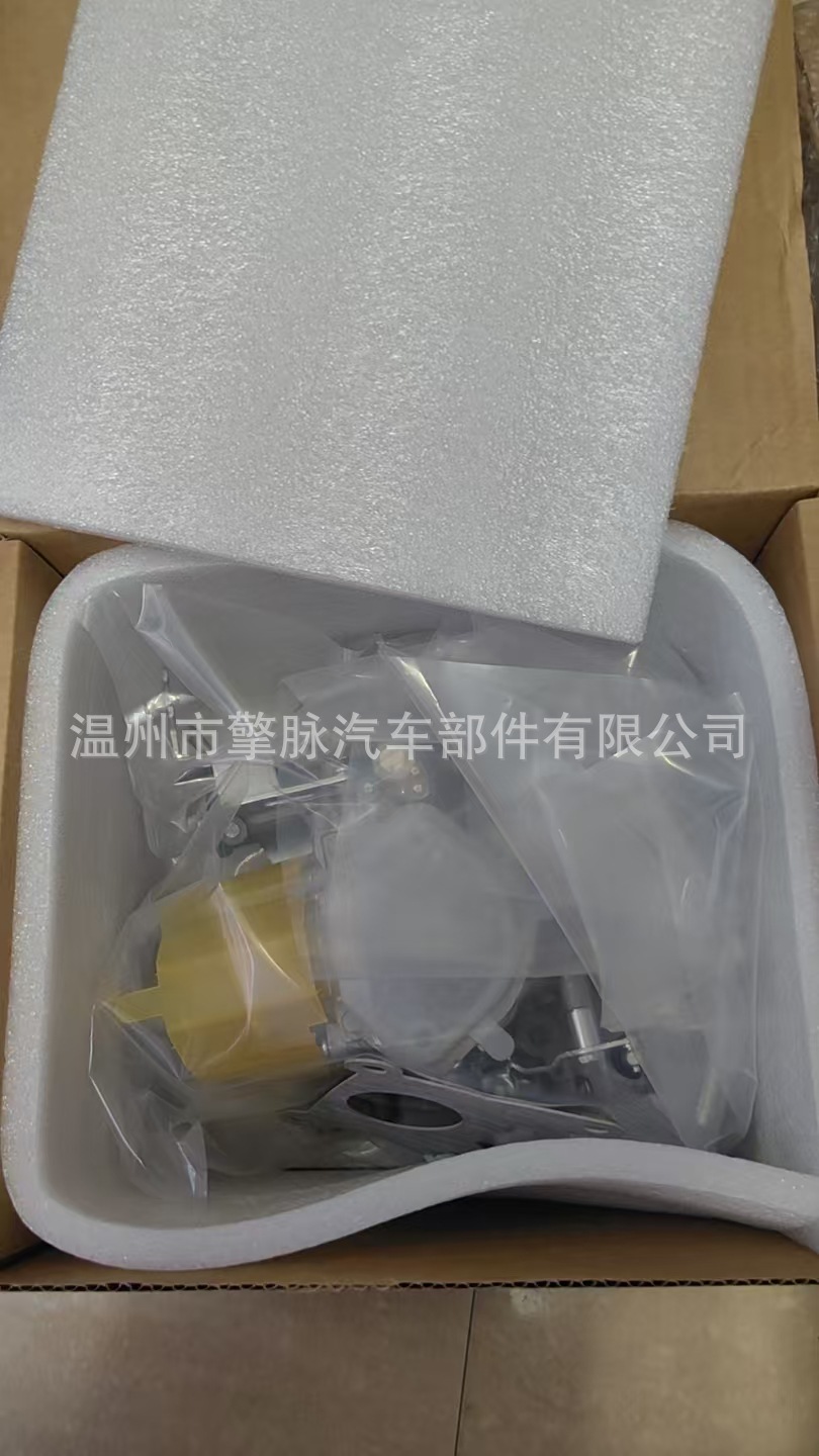 Carburetor Md-192036 Is Suitable for Mitsubishi 4g15 4g13, Toyota 3K, Peugeot 404 504, and Proton Saga