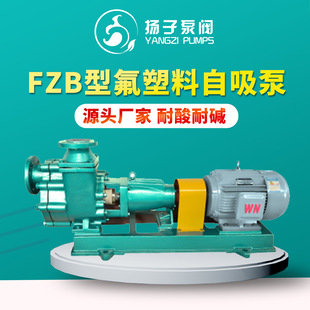 FZB�ͷ���������ʽ�x�ı� �r�������� ���|������ �����